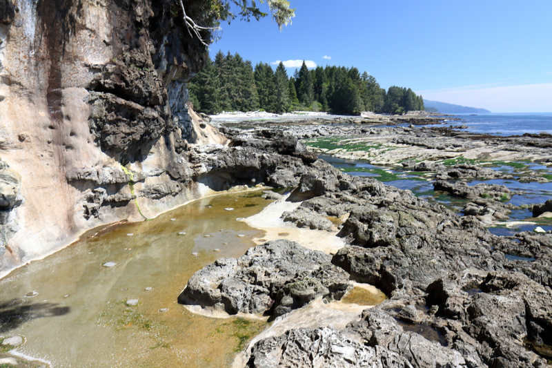 Illustration for article titled Pics from the (Ocean Floor): 2018-05-05 at Botanical Beach